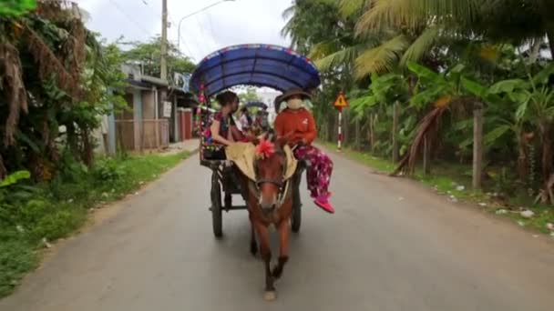 Local horse rider — Stock Video