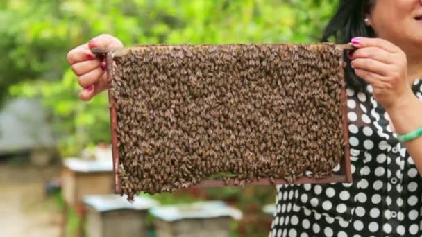 Kvinna anläggning honung beehive — Stockvideo
