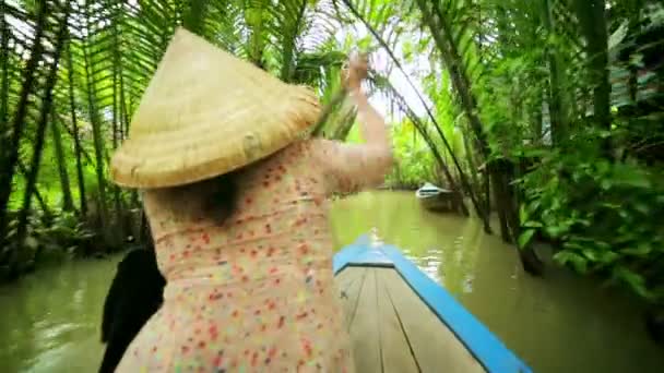 Veslař pádlo kanoe na řece Mekong — Stock video