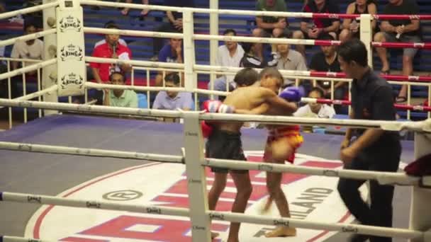 Muay Thai Box Streichhölzer — Stockvideo