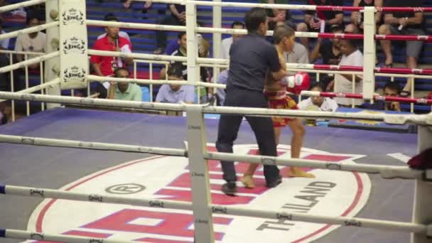 Muay Thai Box Streichhölzer — Stockvideo