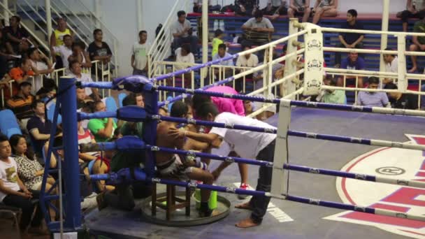 Muay Thai scatola corrisponde — Video Stock