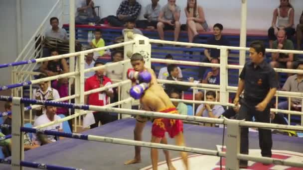 Muay Thai Box Streichhölzer — Stockvideo