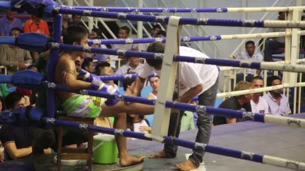 Muay thai boxu odpovídá — Stock video