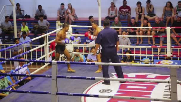 Muay Thai scatola corrisponde — Video Stock