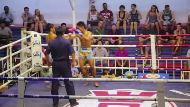 Muay Thai box matches — Stock Video