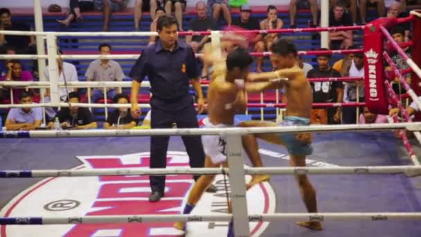Muay Thai scatola corrisponde — Video Stock