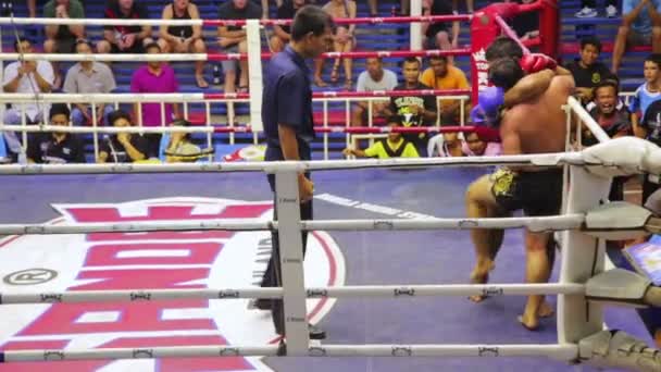 Muay Thai scatola corrisponde — Video Stock