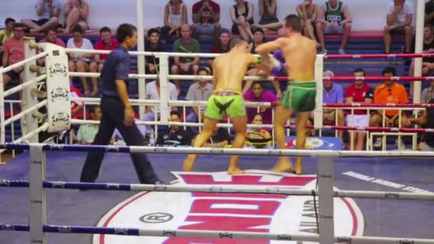 Muay Thai scatola corrisponde — Video Stock