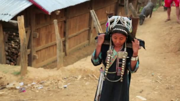 Akha woman carry water — Stock Video