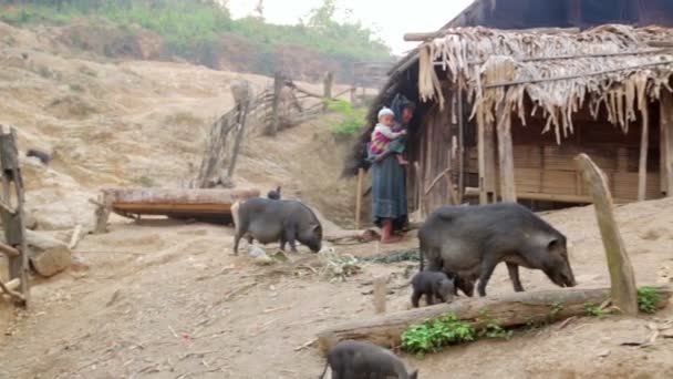 Akha žena nosit dítě v kopci vesnice — Stock video