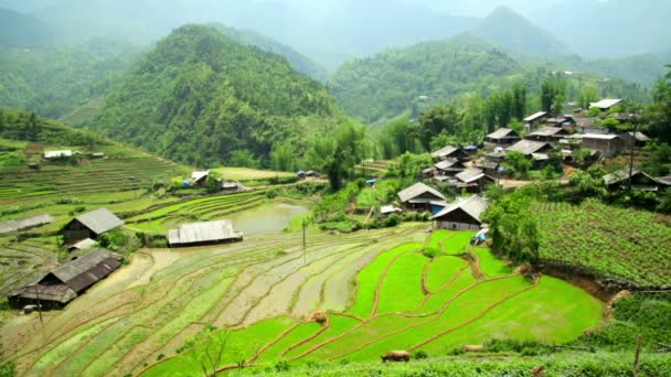 Pueblos akha en Sapa , — Vídeo de stock