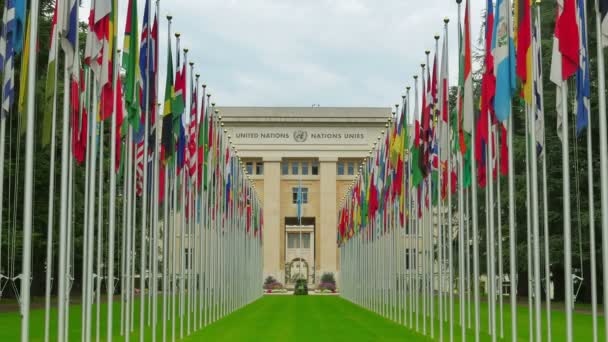 United Nations building with flags — Stock Video