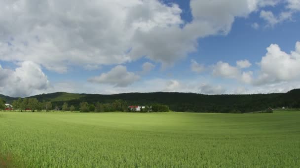 Fattoria del villaggio Norwagian — Video Stock