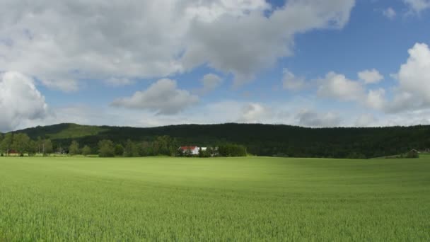 Norwegische Dorfbauernhof — Stockvideo