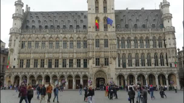 Grand Place en Bruselas — Vídeo de stock