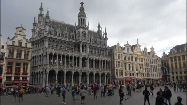 Grote markt in Brussel — Stockvideo