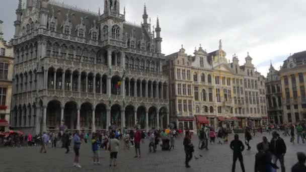 Grand Place в Брюсселе — стоковое видео