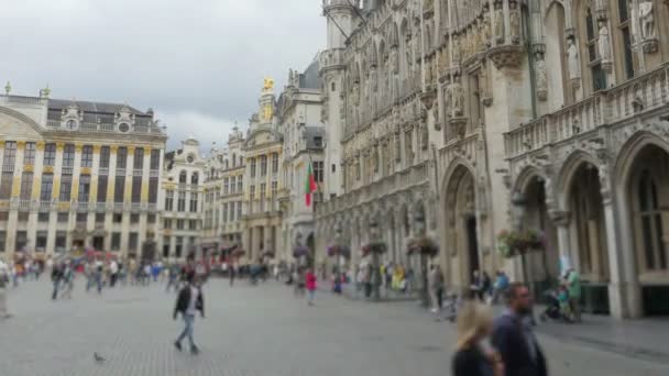 Brüssels alter Stadtplatz — Stockvideo