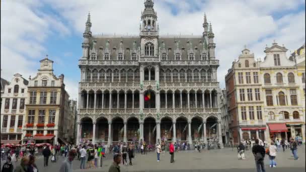 Grand place v Bruselu — Stock video