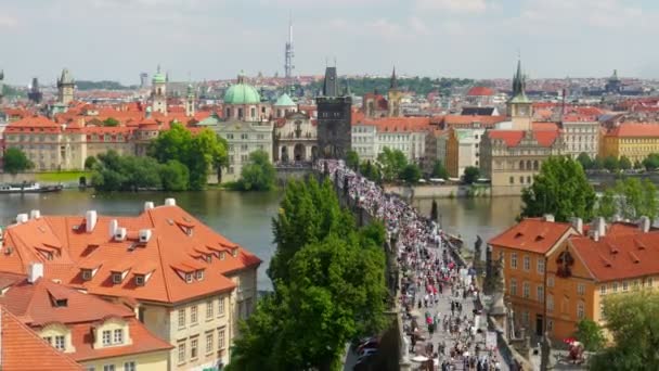 Karelsbrug en het kasteel in Praag — Stockvideo