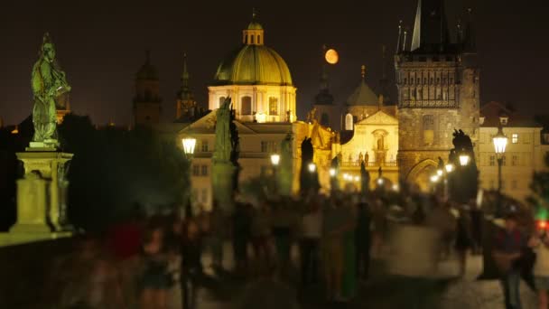 Ponte e Castelo Charles em Praga — Vídeo de Stock