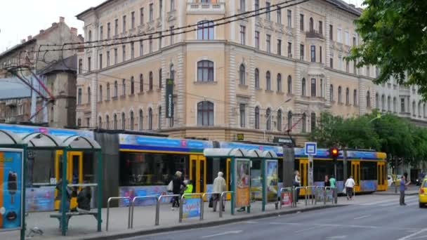 在布达佩斯街头交通 — 图库视频影像