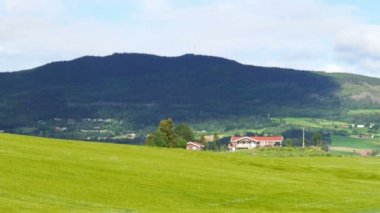 Norveç yeşil çiftlik manzara
