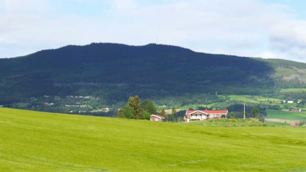 Granja verde noruega paisaje — Vídeos de Stock