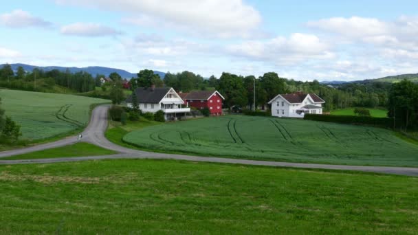 Paisagem agrícola verde norueguesa — Vídeo de Stock