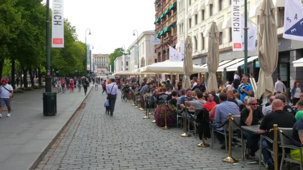 Karl Johans gate street view — стоковое видео
