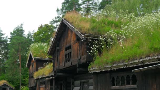 Schönes norwegisches Dorf — Stockvideo