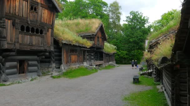 Människor på norwagian village — Stockvideo