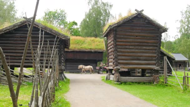 Cabina a cavallo nel villaggio norvegese — Video Stock