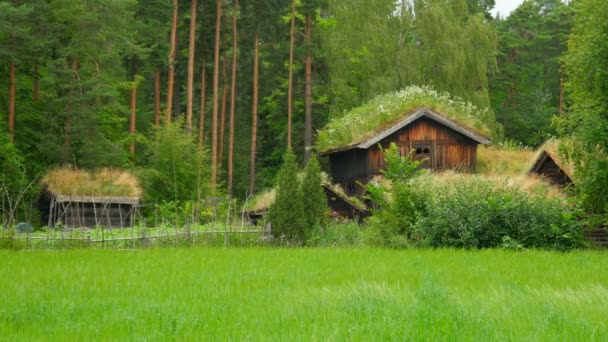 Αγρόκτημα και όμορφο χωριό Νορβηγικά — Αρχείο Βίντεο