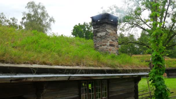 House with green grass rooftop — Stock Video