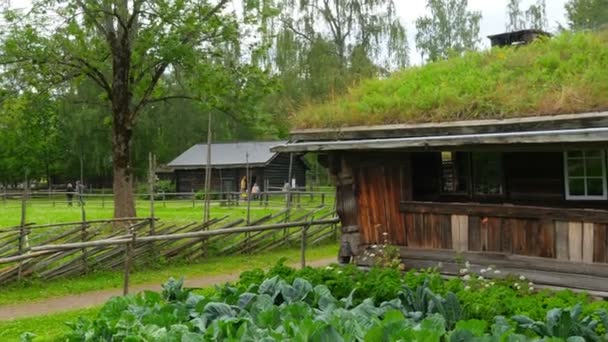Ферма и красивая северная деревня — стоковое видео