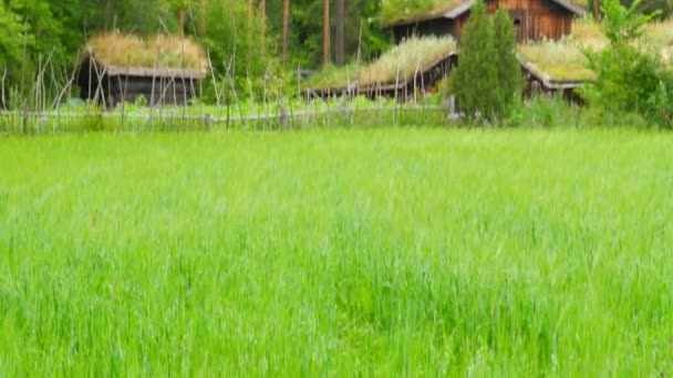 Farm and beautiful norwegian village — Stock Video