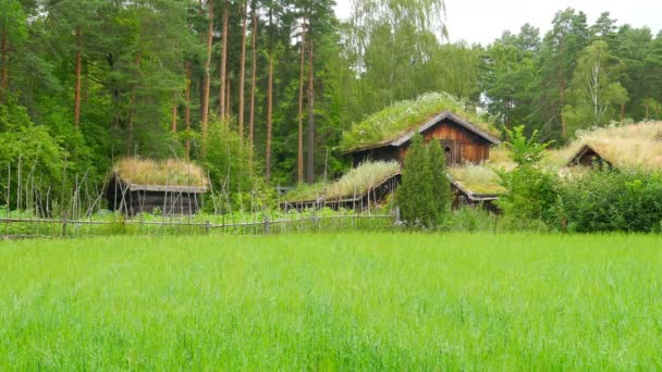 Gård och vackra norska village — Stockvideo