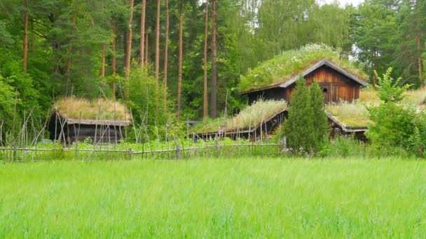 Granja y hermoso pueblo noruego — Vídeos de Stock