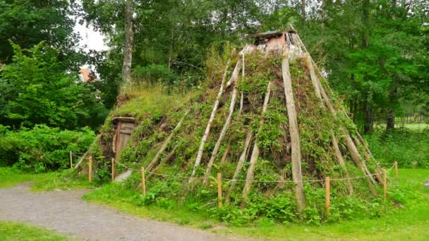 Hus av norska stammar — Stockvideo
