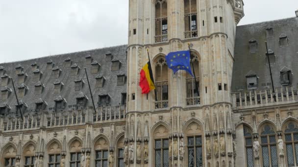 Grand place w Brukseli — Wideo stockowe