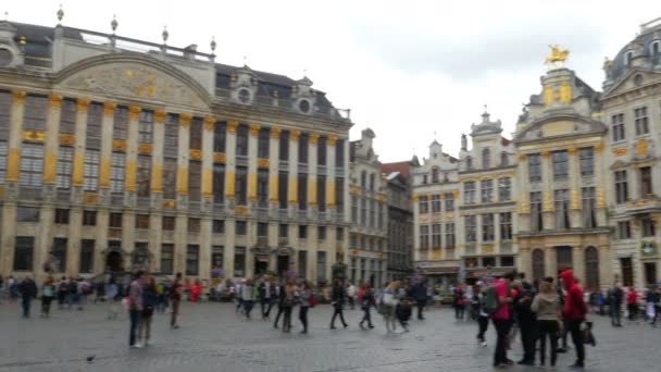 Grand place i Bryssel — Stockvideo