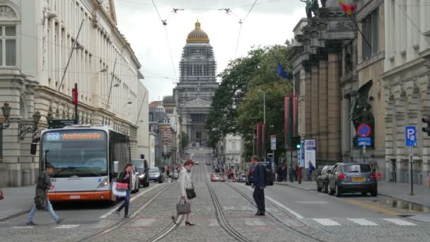 Brussel centrum bekijken — Stockvideo