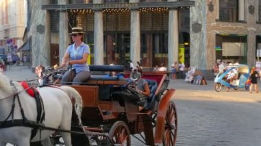  Hofburg Sarayı Viyana'da sokak