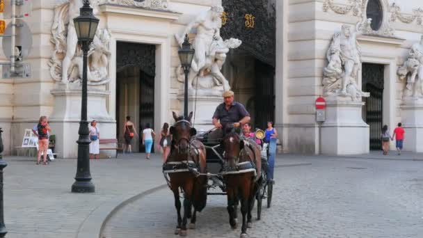 Palatset Hofburg gatan i Wien — Stockvideo