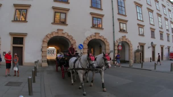 Палацу Хофбург вулиці у Відні — стокове відео