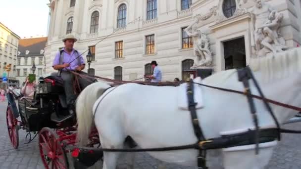 Pałac Hofburg ulic w Wiedniu — Wideo stockowe