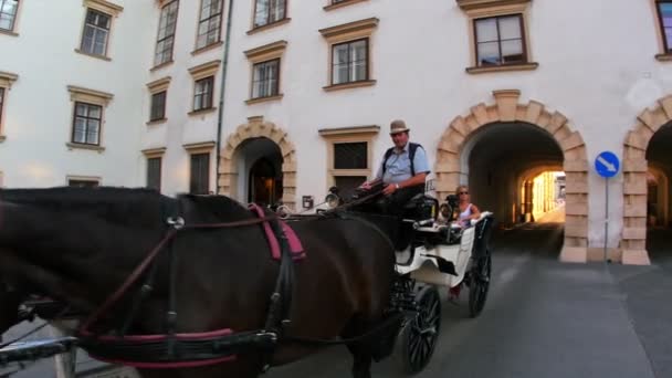 Palatset Hofburg gatan i Wien — Stockvideo