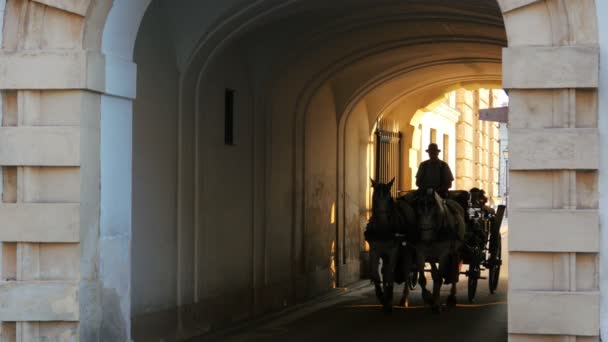 Utcán, a bécsi Hofburg palota — Stock videók